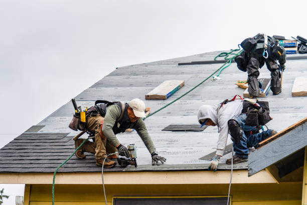 Professional Roofing technician working in Sacred Heart, MN